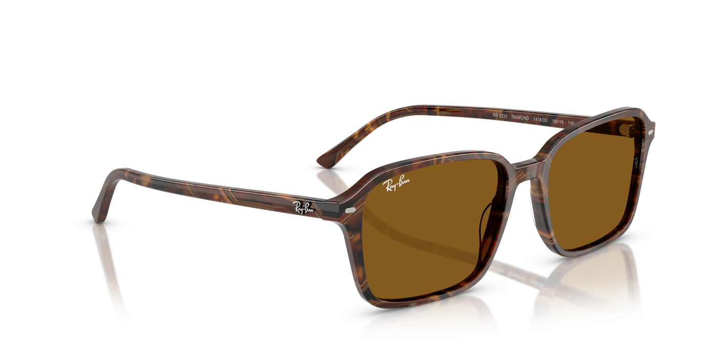 Lentes de Sol Ray-Ban Raimond RB2231