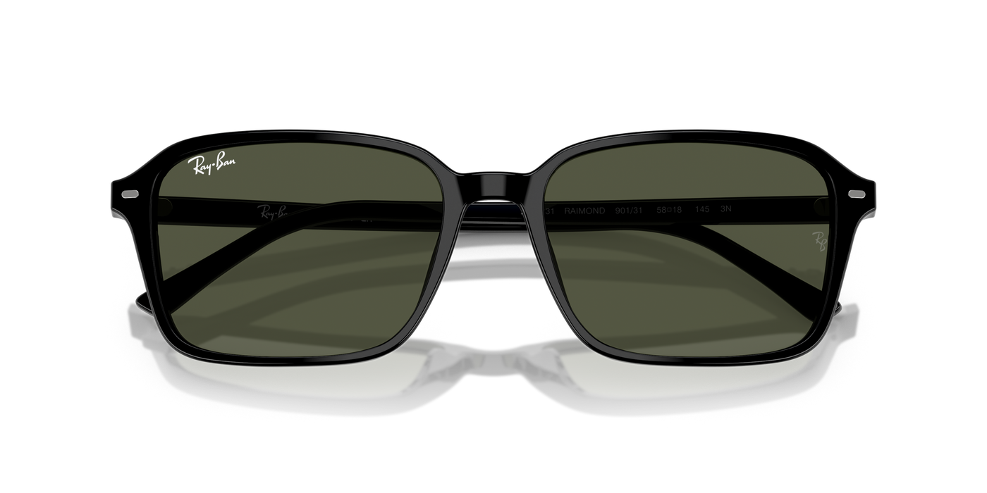 Lentes de Sol Ray-Ban Raimond RB2231