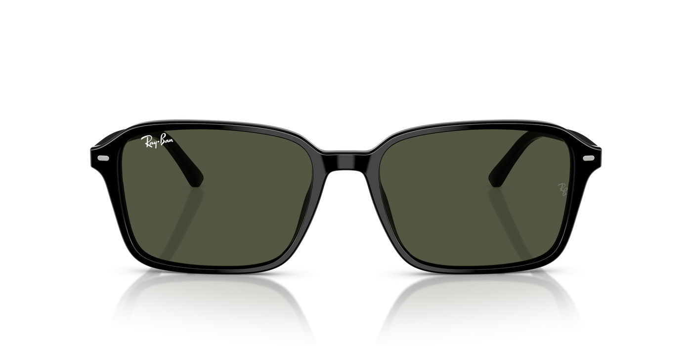 Lentes de Sol Ray-Ban Raimond RB2231