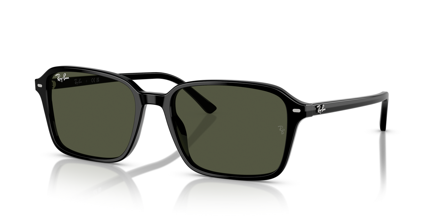 Lentes de Sol Ray-Ban Raimond RB2231