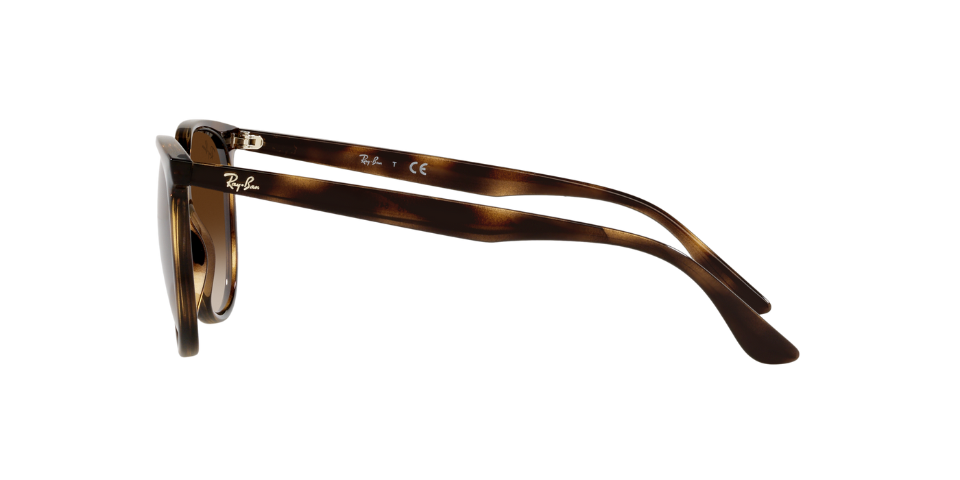 Lentes de sol Ray-Ban 4378, 710/13