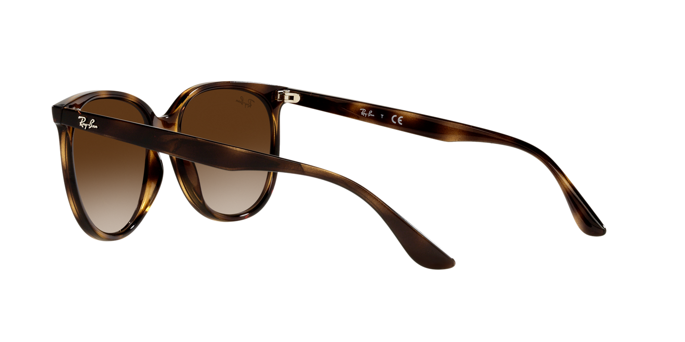 Lentes de sol Ray-Ban 4378, 710/13