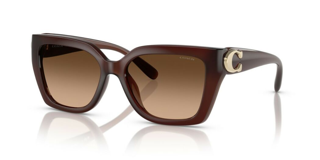 Lentes de Sol Coach HC8408U CW195 polarizado